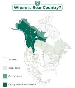 What To Do If You See A Bear (And Why) - Effortless Outdoors