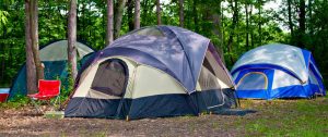 best 10 person tent