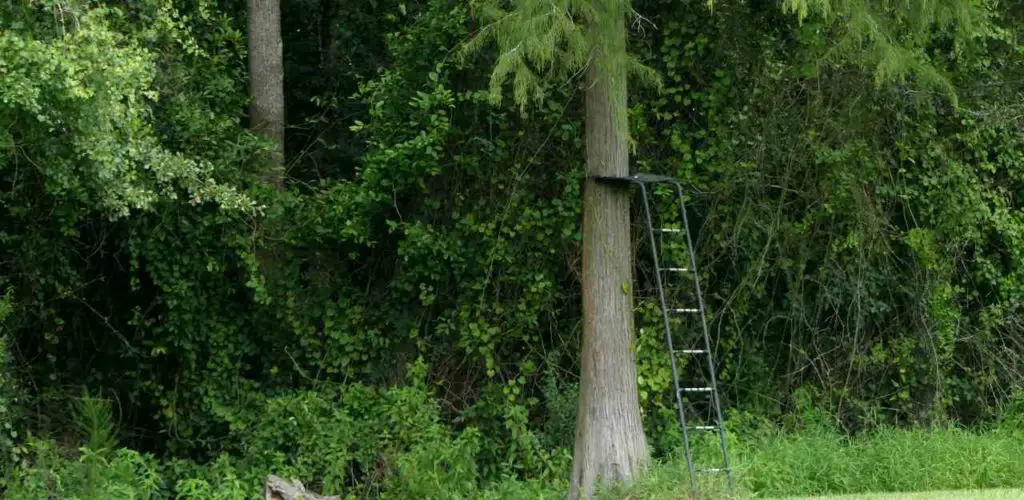 do deer notice ladder stands