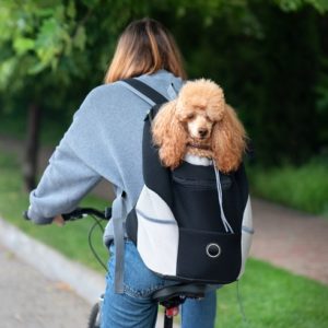 Best Dog Carrier Backpacks for Traveling